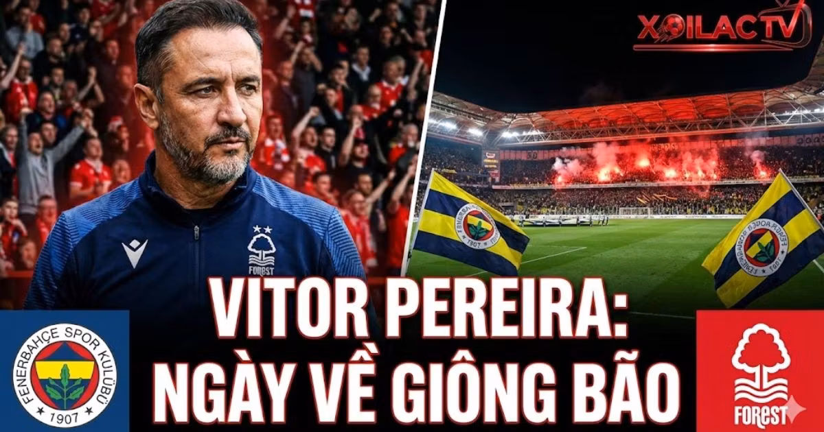 Nhận định trận đấu Fenerbahçe vs Nottingham Forest ngày 20/02, tiêu điểm HLV Vitor Pereira tái ngộ đội bóng cũ trên Xoilac TV