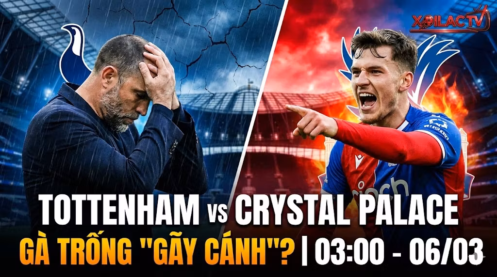 Ảnh đại diện trực tiếp Tottenham vs Crystal Palace vòng 29 Ngoại Hạng Anh lúc 03:00 ngày 06/03. Hình ảnh đối lập giữa nỗi thất vọng của Tottenham và sự thăng hoa của Crystal Palace trên nền SVĐ Tottenham Hotspur. Xem bóng đá HD tại Xoilac TV.